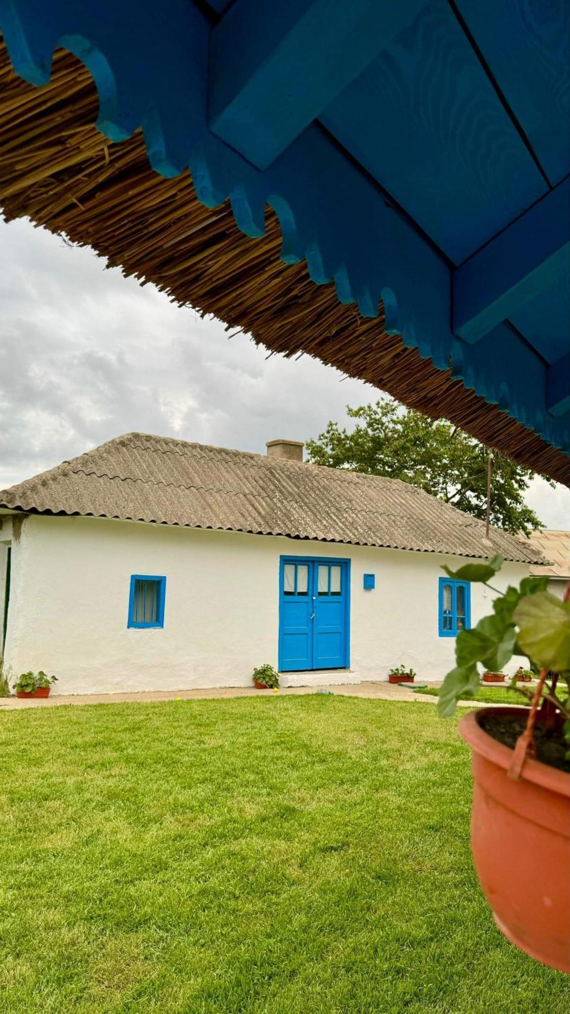 Casa Enisala Guest House Exterior photo